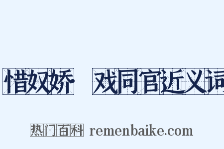 惜奴娇·戏同官近义词是什么意思的图片